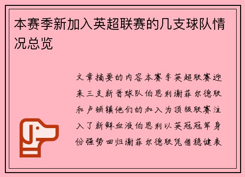 本赛季新加入英超联赛的几支球队情况总览