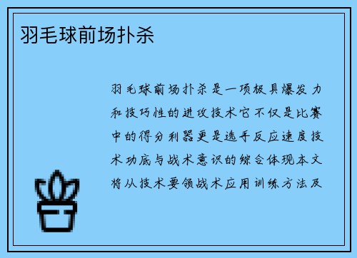 羽毛球前场扑杀
