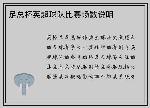 足总杯英超球队比赛场数说明